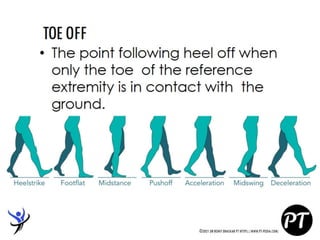 Gait Cycle - Phases & Analysis - Dr Rohit Bhaskar
