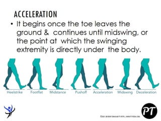 Gait Cycle - Phases & Analysis - Dr Rohit Bhaskar