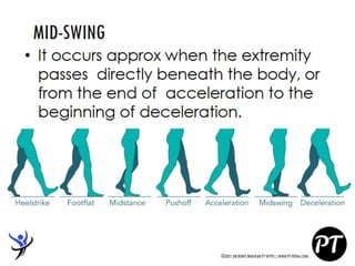 Gait Cycle - Phases & Analysis - Dr Rohit Bhaskar