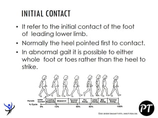 Gait Cycle - Phases & Analysis - Dr Rohit Bhaskar