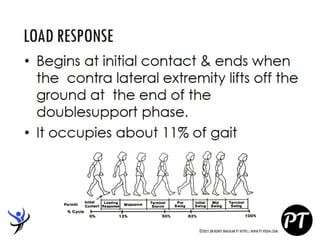 Gait Cycle - Phases & Analysis - Dr Rohit Bhaskar