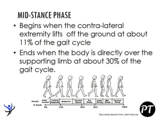Gait Cycle - Phases & Analysis - Dr Rohit Bhaskar