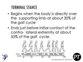 Gait Cycle - Phases & Analysis - Dr Rohit Bhaskar