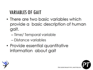 Gait Cycle - Phases & Analysis - Dr Rohit Bhaskar