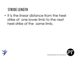 Gait Cycle - Phases & Analysis - Dr Rohit Bhaskar