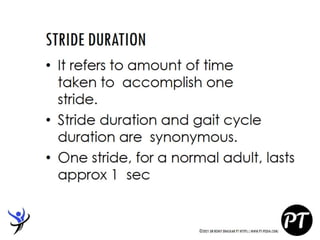 Gait Cycle - Phases & Analysis - Dr Rohit Bhaskar