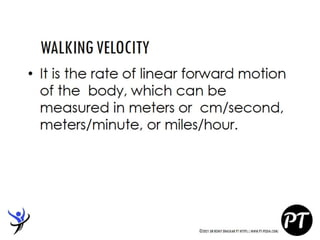 Gait Cycle - Phases & Analysis - Dr Rohit Bhaskar