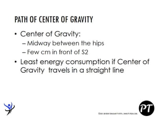 Gait Cycle - Phases & Analysis - Dr Rohit Bhaskar