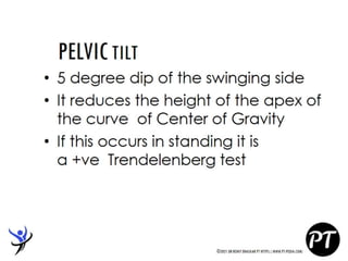 Gait Cycle - Phases & Analysis - Dr Rohit Bhaskar