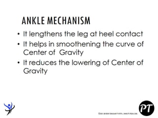 Gait Cycle - Phases & Analysis - Dr Rohit Bhaskar