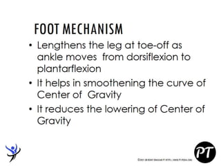 Gait Cycle - Phases & Analysis - Dr Rohit Bhaskar