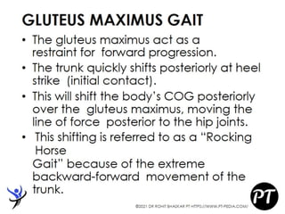 Gait Cycle - Phases & Analysis - Dr Rohit Bhaskar
