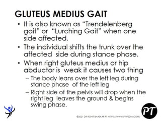 Gait Cycle - Phases & Analysis - Dr Rohit Bhaskar