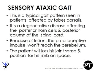 Gait Cycle - Phases & Analysis - Dr Rohit Bhaskar