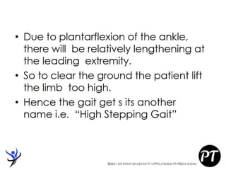 Gait Cycle - Phases & Analysis - Dr Rohit Bhaskar