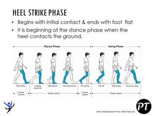 Gait Cycle - Phases & Analysis - Dr Rohit Bhaskar