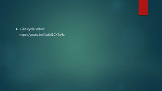  Gait cycle video:
https://youtu.be/1u6d1CX7o9c
 