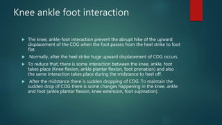 Knee ankle foot interaction
 The knee, ankle-foot interaction prevent the abrupt hike of the upward
displacement of the COG when the foot passes from the heel strike to foot
flat.
 Normally, after the heel strike huge upward displacement of COG occurs.
 To reduce that, there is some interaction between the knee, ankle, foot
takes place (Knee flexion, ankle plantar flexion, foot pronation) and also
the same interaction takes place during the midstance to heel off.
 After the midstance there is sudden dropping of COG. To maintain the
sudden drop of COG there is some changes happening in the knee, ankle
and foot (ankle plantar flexion, knee extension, foot supination).
 