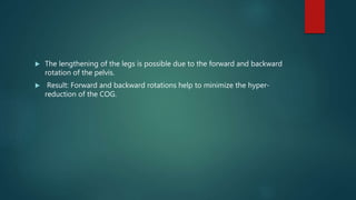  The lengthening of the legs is possible due to the forward and backward
rotation of the pelvis.
 Result: Forward and backward rotations help to minimize the hyper-
reduction of the COG.
 