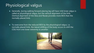 Physiological valgus
 Generally, during walking forward placing leg will have mild-knee valgus is
called as physiological valgus, but the vertical alignment of the limb
(Vertical alignment of the tibia and fibula) provides more BOS than the
normally placed limb.
 To overcome from the reduced BOS by the physiological valgus, i.e.
normally placed limb, the lateral shifting of the body occurs to shift the
COG from one lower extremity to another.
 