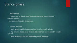 Stance phase
 Initial contact
beginning of stance when heel or some other portion of foot
contacts ground.
component of double limb stance.
 Loading response
body weight rapidly loads onto lead limb from trailing limb.
hip remains stable, knee flexes to absorb shock and forefoot lowers the
ground.
ends when opposite limb lifts from ground for swing.
 