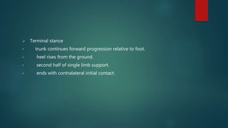  Terminal stance
• trunk continues forward progression relative to foot.
• heel rises from the ground.
• second half of single limb support.
• ends with contralateral initial contact.
 