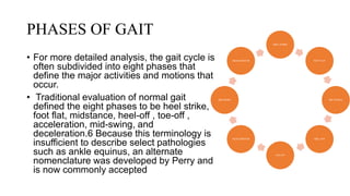 PHASES OF GAIT
• For more detailed analysis, the gait cycle is
often subdivided into eight phases that
define the major activities and motions that
occur.
• Traditional evaluation of normal gait
defined the eight phases to be heel strike,
foot flat, midstance, heel-off , toe-off ,
acceleration, mid-swing, and
deceleration.6 Because this terminology is
insufficient to describe select pathologies
such as ankle equinus, an alternate
nomenclature was developed by Perry and
is now commonly accepted
HEEL STRIKE
FOOT FLAT
MID STANCE
HEEL OFF
TOE OFF
ACCELERATION
MID-SWING
DECELERATION
 