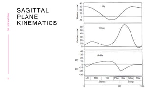 SAGITTAL
PLANE
KINEMATICS
5
DR.
JOE
ANTONY
 