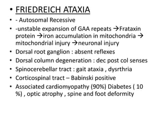 • FRIEDREICH ATAXIA
• - Autosomal Recessive
• -unstable expansion of GAA repeats Frataxin
protein iron accumulation in mitochondria 
mitochondrial injury neuronal injury
• Dorsal root ganglion : absent reflexes
• Dorsal column degeneration : dec post col senses
• Spinocerebellar tract : gait ataxia , dysrthria
• Corticospinal tract – Babinski positive
• Associated cardiomyopathy (90%) Diabetes ( 10
%) , optic atrophy , spine and foot deformity
 
