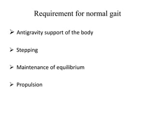 Requirement for normal gait
 Antigravity support of the body
 Stepping
 Maintenance of equilibrium
 Propulsion
 