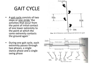 GAIT CYCLE
• A gait cycle consists of two
steps or one stride ‘the
activities that occur from
the point of initial contact
of one lower extremity to
the point at which the
same extremity contacts
the ground again ‘
• During one gait cycle, each
extremity passes through
two phases, a single
stance phase and a single
swing phase
 