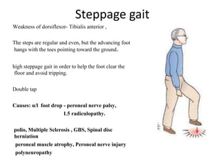 Steppage gait
Weakness of dorsiflexor- Tibialis anterior ,
The steps are regular and even, but the advancing foot
hangs with the toes pointing toward the ground.
high steppage gait in order to help the foot clear the
floor and avoid tripping.
Double tap
Causes: u/l foot drop - peroneal nerve palsy,
L5 radiculopathy.
polio, Multiple Sclerosis , GBS, Spinal disc
herniation
peroneal muscle atrophy, Peroneal nerve injury
polyneuropathy
 