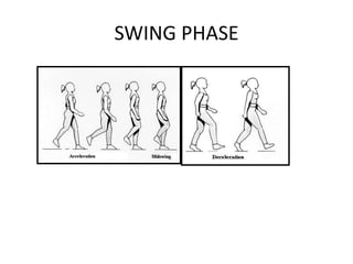 SWING PHASE
 