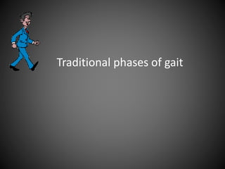 Traditional phases of gait
 