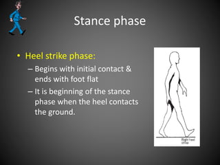 Stance phase
• Heel strike phase:
– Begins with initial contact &
ends with foot flat
– It is beginning of the stance
phase when the heel contacts
the ground.
 