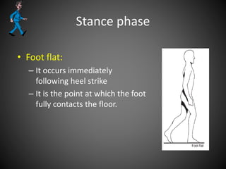 Stance phase
• Foot flat:
– It occurs immediately
following heel strike
– It is the point at which the foot
fully contacts the floor.
 