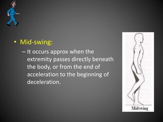 • Mid-swing:
– It occurs approx when the
extremity passes directly beneath
the body, or from the end of
acceleration to the beginning of
deceleration.
 