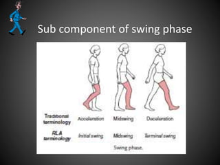 Sub component of swing phase
 