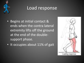 Load response
• Begins at initial contact &
ends when the contra lateral
extremity lifts off the ground
at the end of the double-
support phase.
• It occupies about 11% of gait
 
