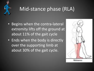 Mid-stance phase (RLA)
• Begins when the contra-lateral
extremity lifts off the ground at
about 11% of the gait cycle
• Ends when the body is directly
over the supporting limb at
about 30% of the gait cycle.
 