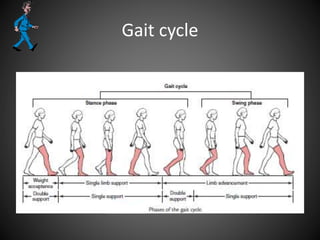 Gait cycle
 