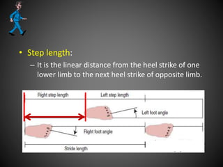 • Step length:
– It is the linear distance from the heel strike of one
lower limb to the next heel strike of opposite limb.
 