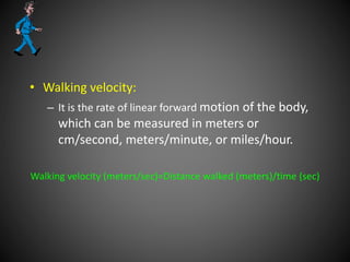 • Walking velocity:
– It is the rate of linear forward motion of the body,
which can be measured in meters or
cm/second, meters/minute, or miles/hour.
Walking velocity (meters/sec)=Distance walked (meters)/time (sec)
 