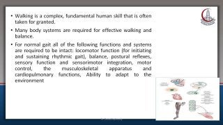 Gait in elderly