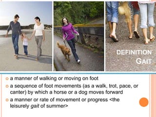 DEFINITION
GAIT
 a manner of walking or moving on foot
 a sequence of foot movements (as a walk, trot, pace, or
canter) by which a horse or a dog moves forward
 a manner or rate of movement or progress <the
leisurely gait of summer>
 