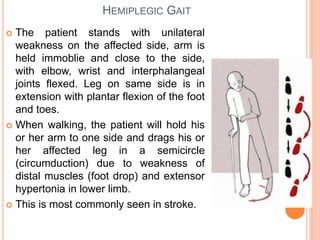 HEMIPLEGIC GAIT
 The patient stands with unilateral
weakness on the affected side, arm is
held immoblie and close to the side,
with elbow, wrist and interphalangeal
joints flexed. Leg on same side is in
extension with plantar flexion of the foot
and toes.
 When walking, the patient will hold his
or her arm to one side and drags his or
her affected leg in a semicircle
(circumduction) due to weakness of
distal muscles (foot drop) and extensor
hypertonia in lower limb.
 This is most commonly seen in stroke.
 
