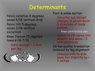 Determinants
                            Foot & ankle motion
Pelvic rotation 4 degrees     Smooths out abrupt
saves 6/16 vertical drop      changes in accel/decel
Pelvic tilt 5 degrees,        & direction of body
saves 3/16 vertical           motion
excursion                        Knee contributes also
Knee flexion 15 degrees       Converts CG curve into
lowers CG 7/16                smooth sine wave < 2
                              inch amplitude
   total savings = 1 inch   CG horizontal translation
   per leg                  reduced by leg alignment
                              reduces side to side
                              sway for stability by >
                              4 inches
 