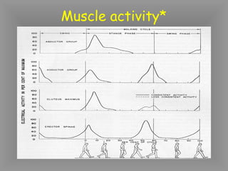 Muscle activity*
 