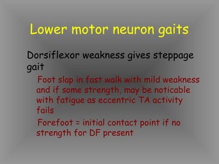 Lower motor neuron gaits
Dorsiflexor weakness gives steppage
gait
  Foot slap in fast walk with mild weakness
  and if some strength, may be noticable
  with fatigue as eccentric TA activity
  fails
  Forefoot = initial contact point if no
  strength for DF present
 