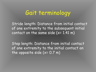 Gait terminology
Stride length: Distance from initial contact
of one extremity to the subsequent initial
contact on the same side (x= 1.41 m)

Step length: Distance from initial contact
of one extremity to the initial contact on
the opposite side (x= 0.7 m)
 